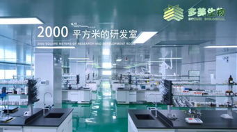 虹橋美博會(huì)上的網(wǎng)紅產(chǎn)品定制中心代工廠 技術(shù)服務(wù)引領(lǐng)行業(yè)新潮流